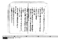 大庄屋日記　文政10年11月～文政11年4月