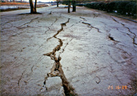 1995年1月26日 武庫川河川敷の地割れ