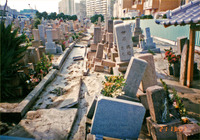 1995年1月21日 上田墓地