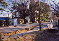 1995年1～3月 川東町