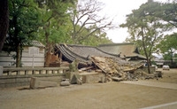 1995年1月17日 西宮神社境内