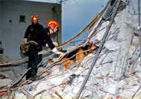 1995年1月21日 フランスからの捜索犬による捜索
