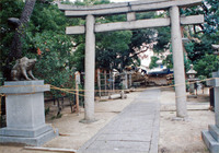 1995年1月23日 岡太神社